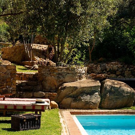 סטלנבוש Bartinney Private Cellar Banhoek מראה חיצוני תמונה