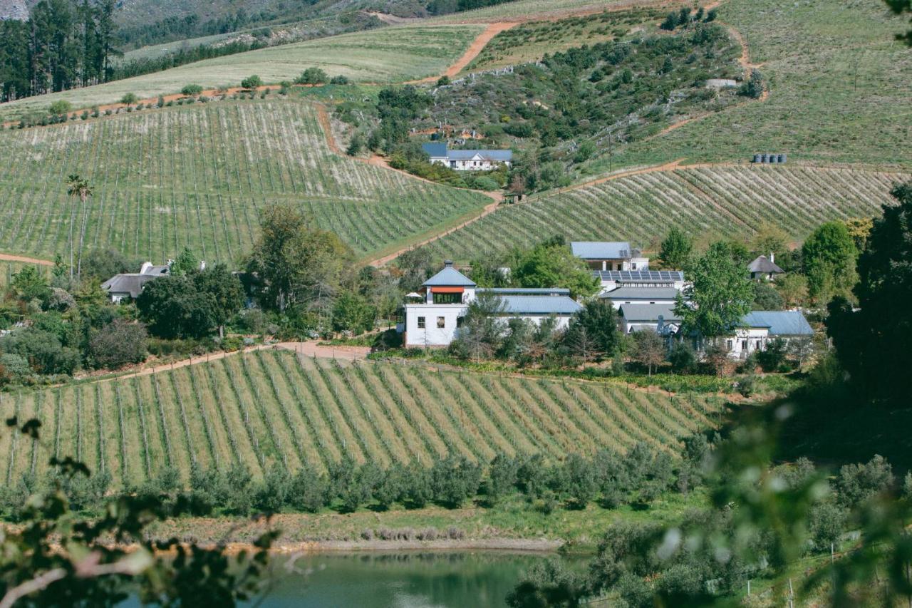 סטלנבוש Bartinney Private Cellar Banhoek מראה חיצוני תמונה